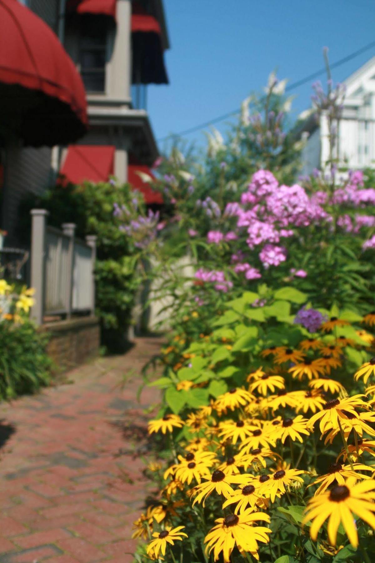 Prince Albert Guest House, Provincetown Dış mekan fotoğraf